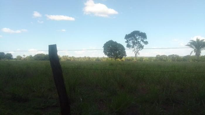 Fazenda em Acorizal 18