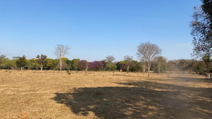 Fazenda em Acorizal 23