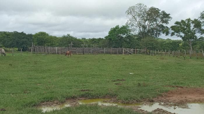 Fazenda a venda em Manso 3