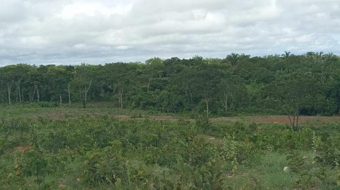 Fazenda a venda em Manso 9