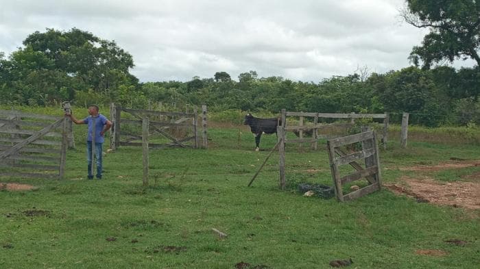 Fazenda a venda em Manso 12