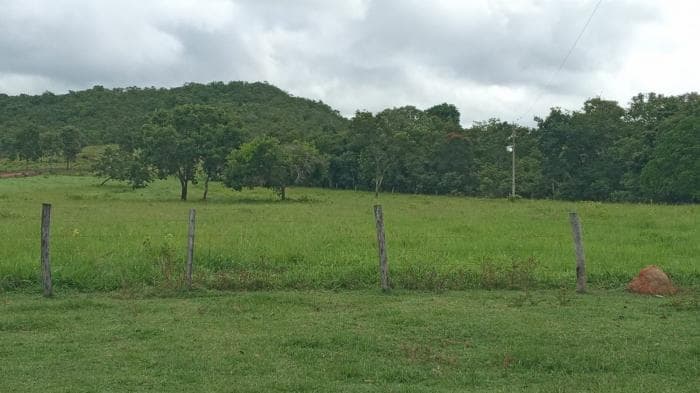 Fazenda a venda em Manso 13