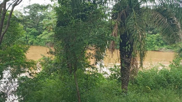 Fazenda a venda em Manso 19