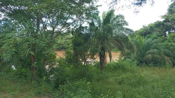 Fazenda a venda em Manso 20