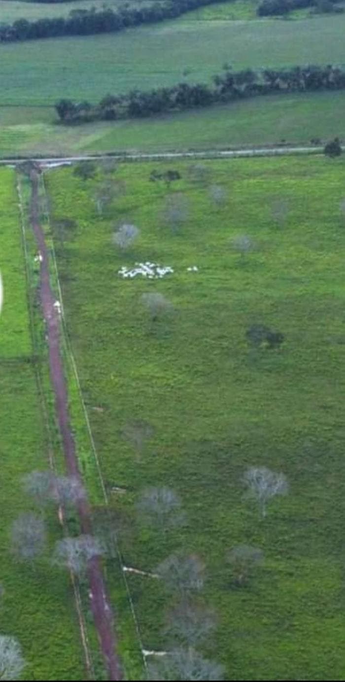 Fazenda a venda em nobres 3