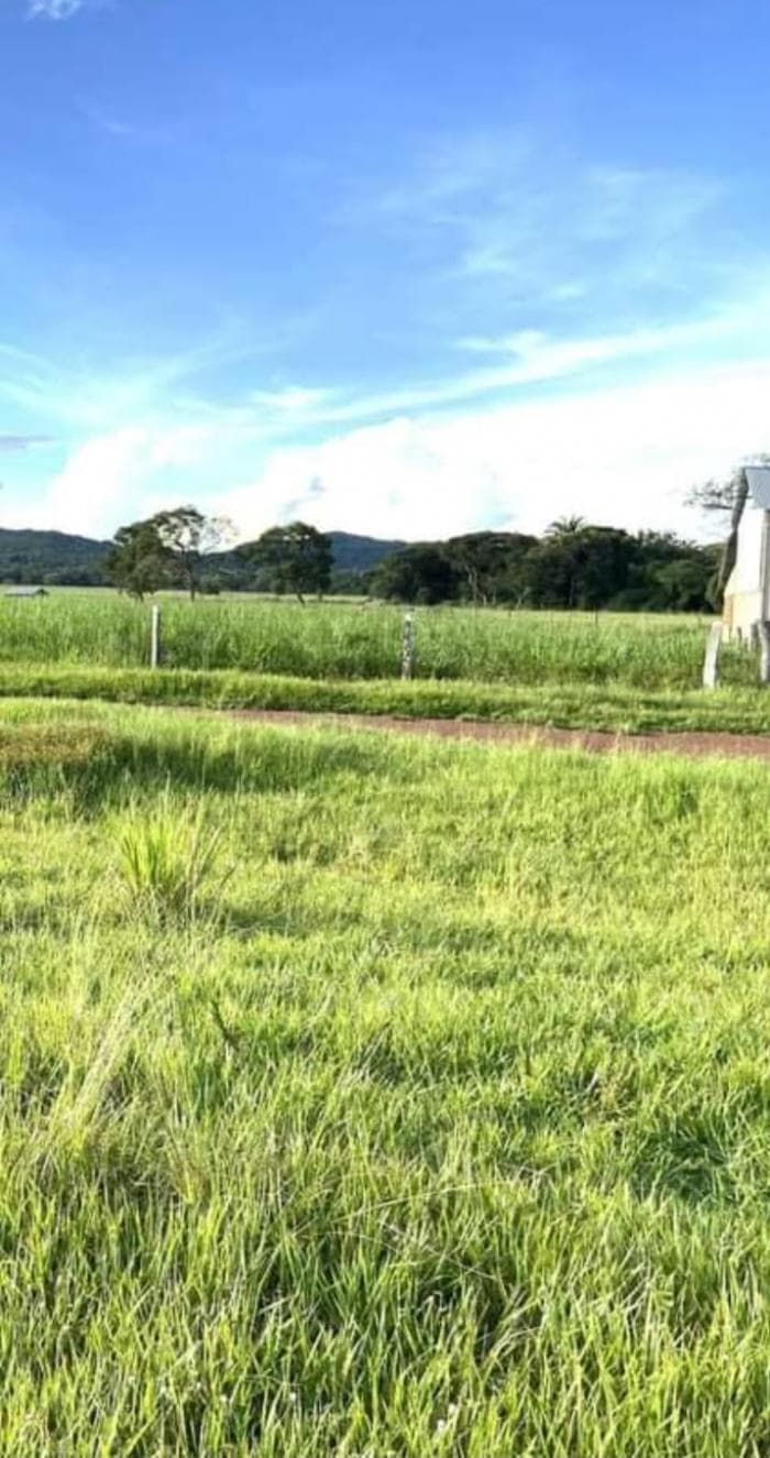 Fazenda a venda em nobres 5