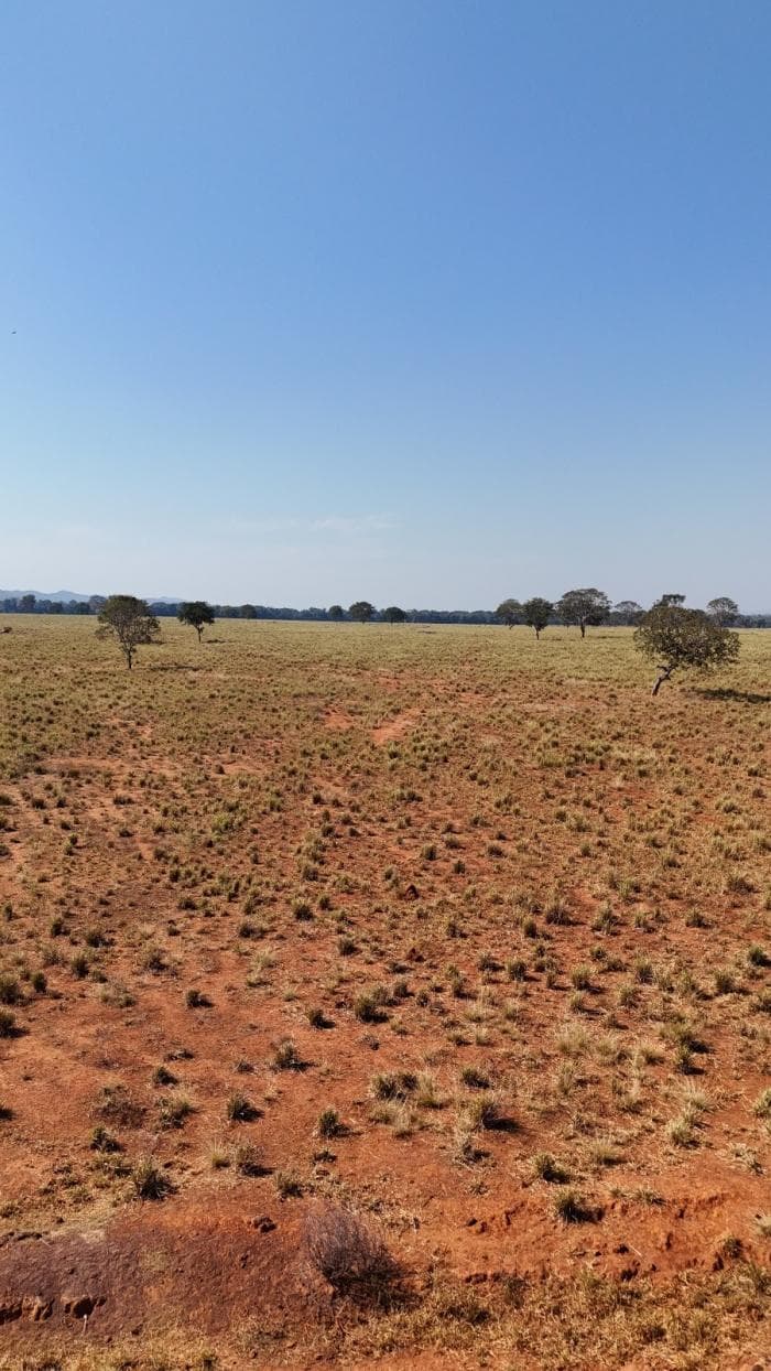 Fazenda a venda em nobres 10