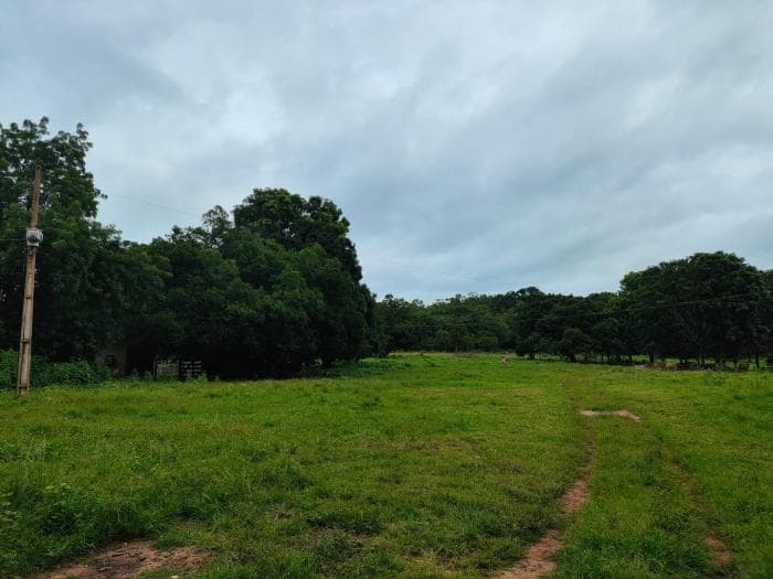 Fazenda a venda em Manso 3