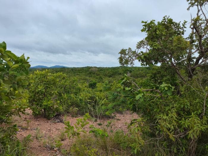 Fazenda a venda em Manso 5