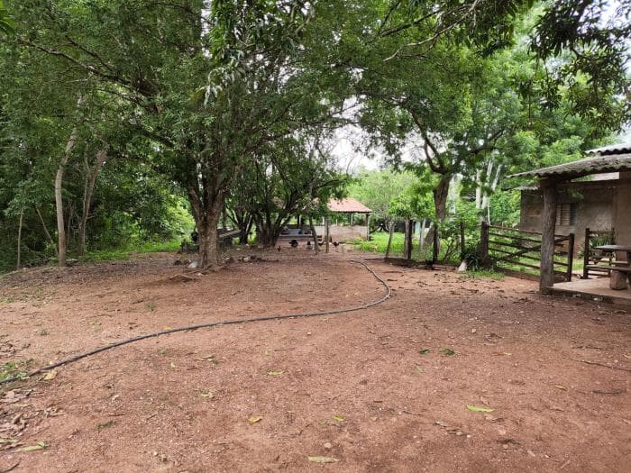 Fazenda a venda em Manso 8