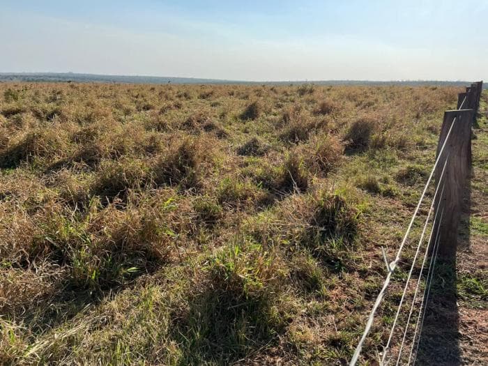 Fazenda a venda em Juscimeira 5