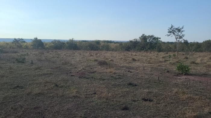 Fazenda a venda em Rosário Oeste 15