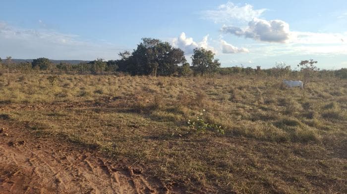 Fazenda a venda em Rosário Oeste 19