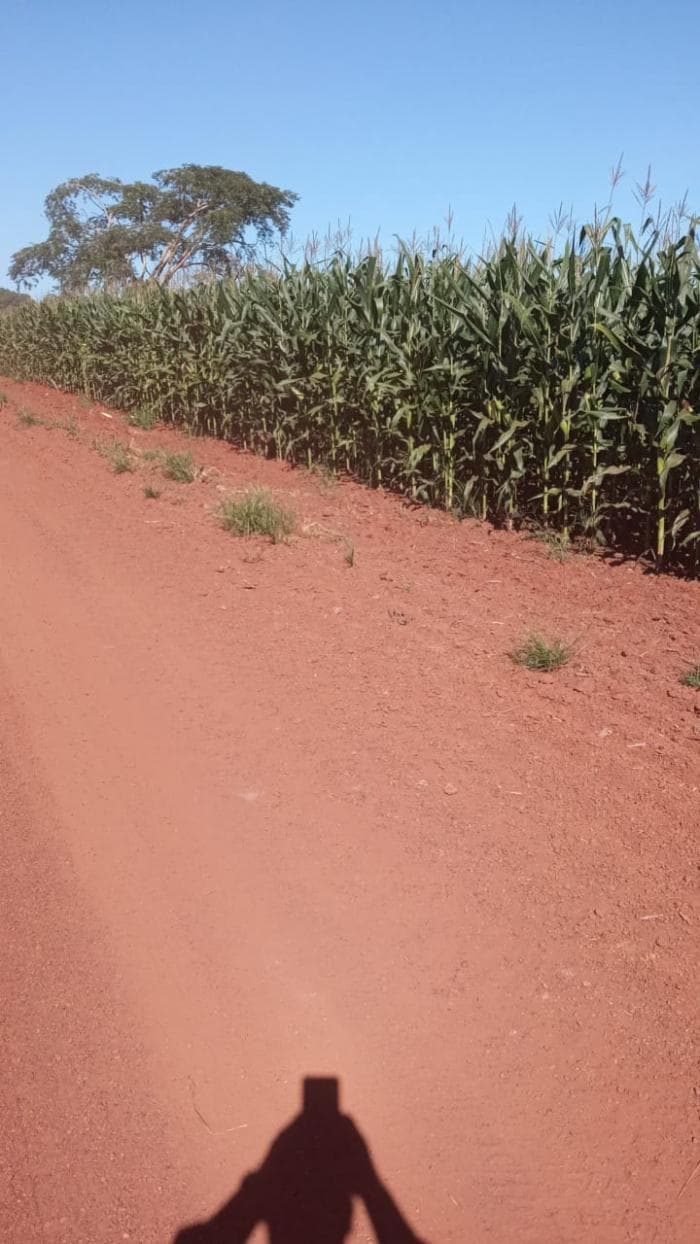 Fazenda a venda em Juscimeira 3