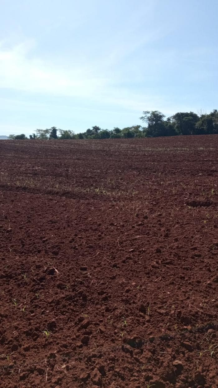 Fazenda a venda em Juscimeira 10