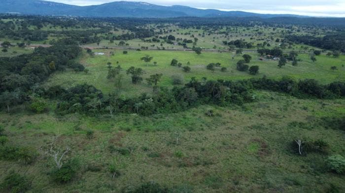 Fazenda a venda em Cáceres 9
