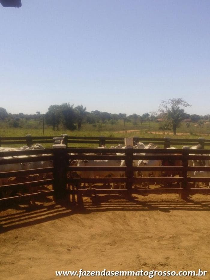 CÁCERES — Alto Paraguai, MT