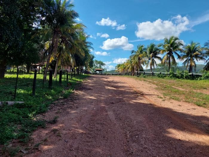 Fazenda a venda em Acorizal 2