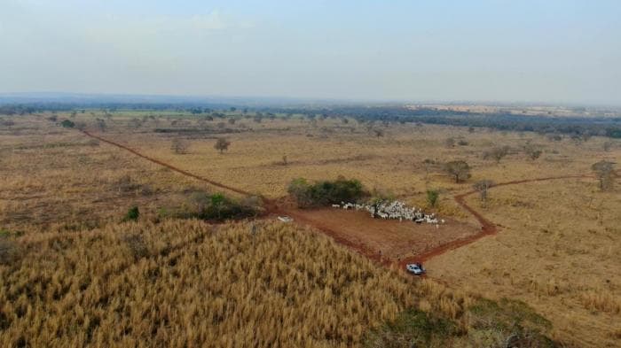Fazenda a venda em Acorizal 14