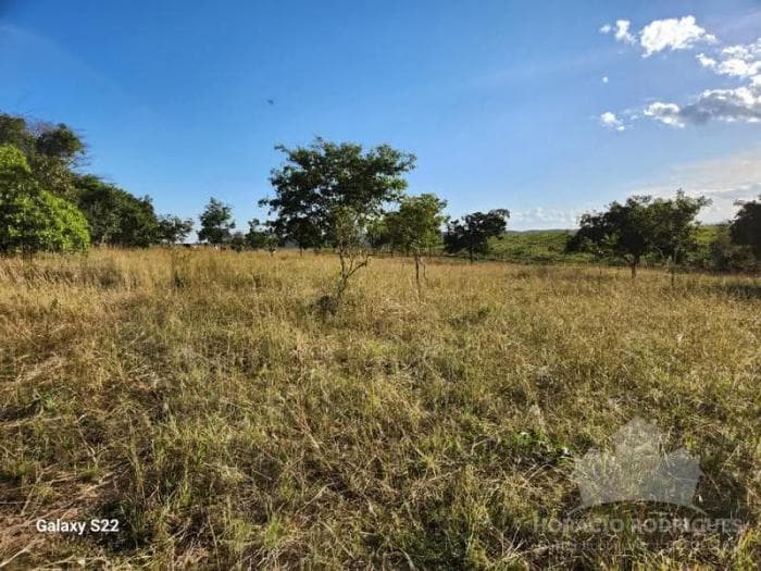 Fazenda a venda em Nossa Senhora do Livramento 5