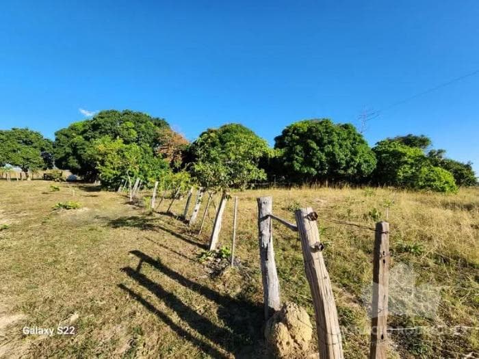 Fazenda a venda em Nossa Senhora do Livramento 4