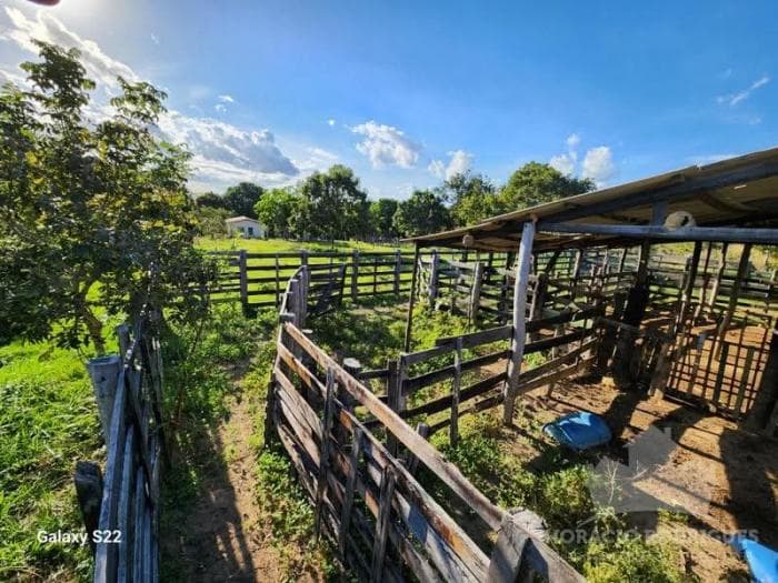 Fazenda a venda em Nossa Senhora do Livramento 8