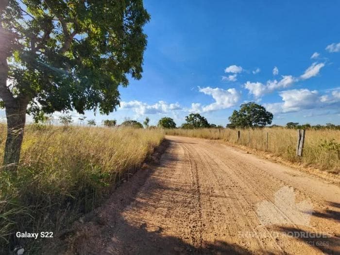 Fazenda a venda em Nossa Senhora do Livramento 16