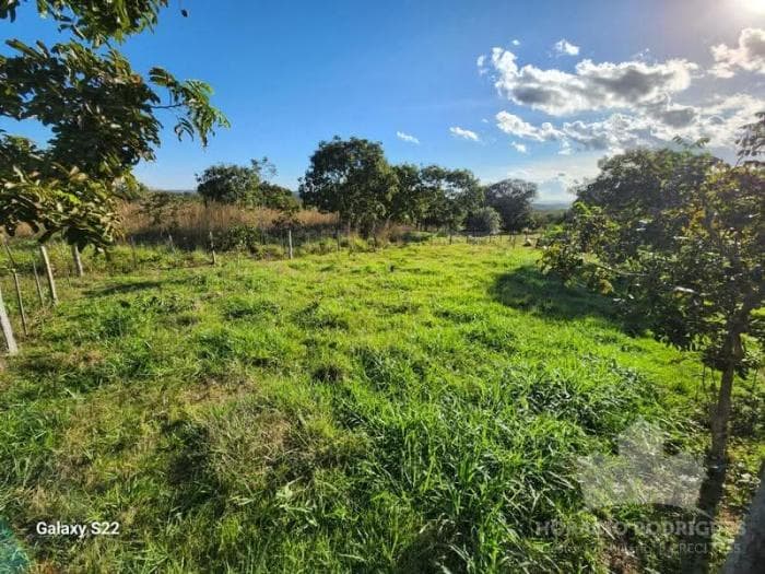 Fazenda a venda em Nossa Senhora do Livramento 13