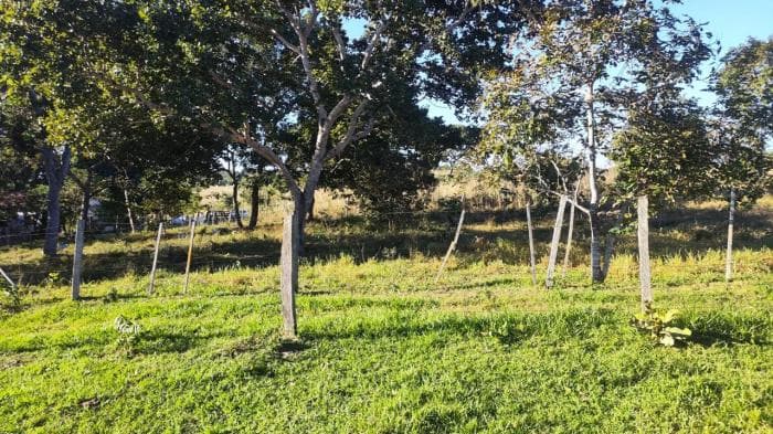 Fazenda a venda em Nossa Senhora do Livramento 10