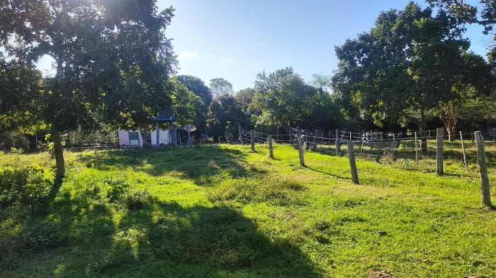 Fazenda a venda em Nossa Senhora do Livramento 14