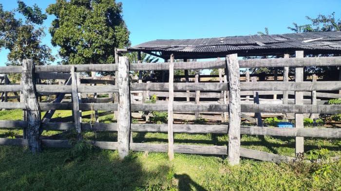 Fazenda a venda em Nossa Senhora do Livramento 19