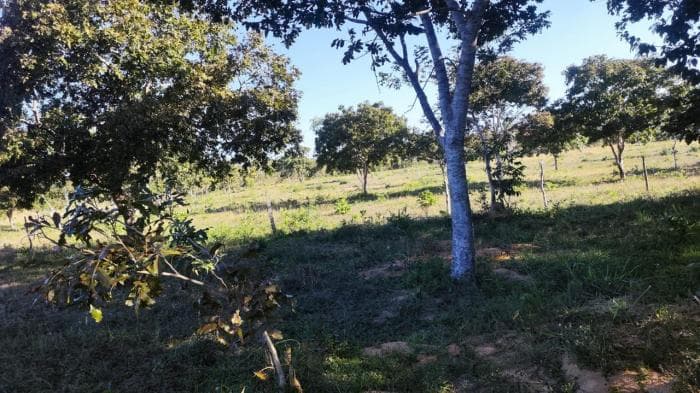 Fazenda a venda em Nossa Senhora do Livramento 23