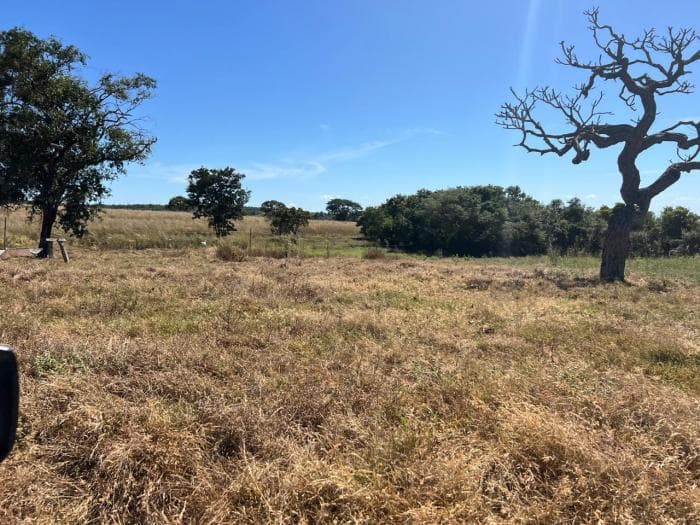 Fazenda em chapada dos Guimaraes 8