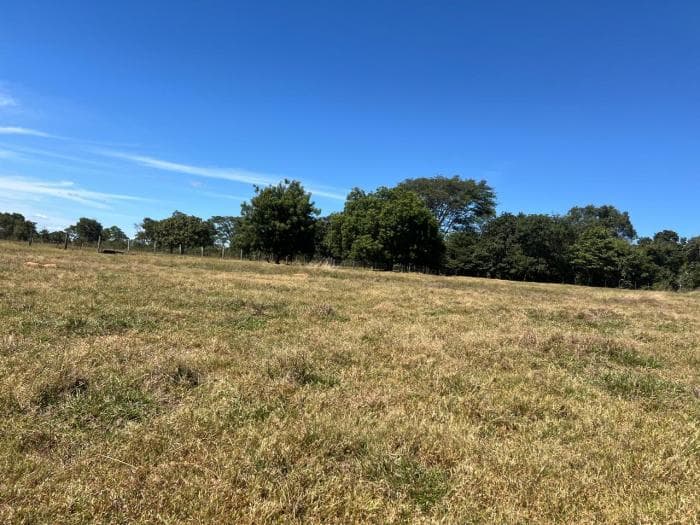 Fazenda em chapada dos Guimaraes 9
