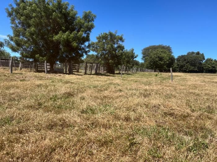 Fazenda em chapada dos Guimaraes 11