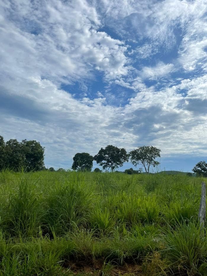 Fazenda em Poconé 2