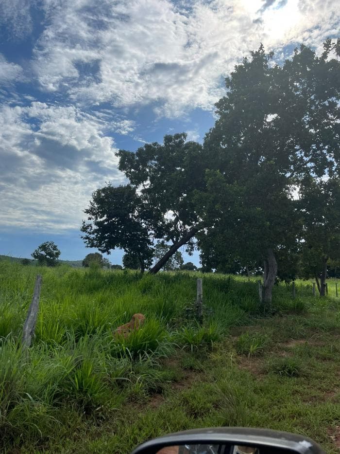 Fazenda em Poconé — Poconé, MT