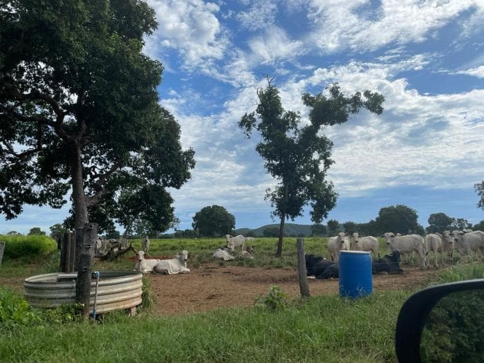 Fazenda em Poconé 5