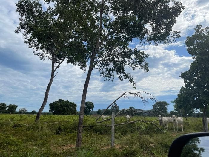 Fazenda em Poconé 10