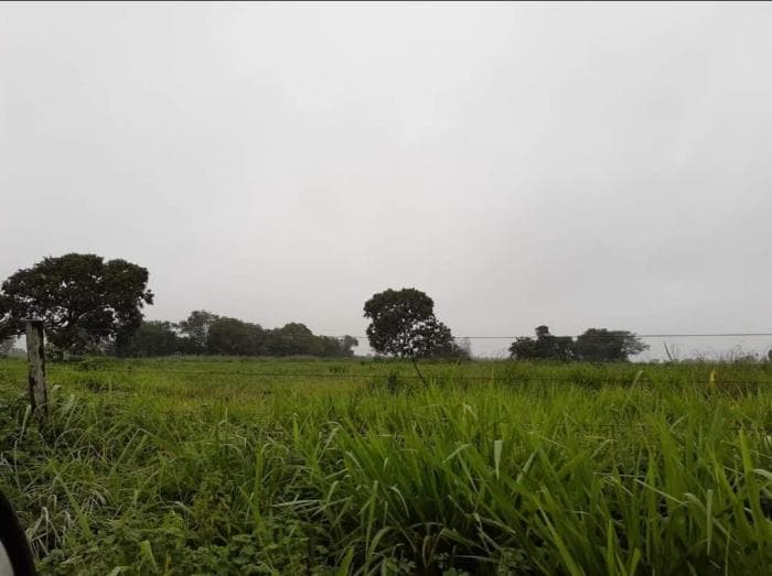 Fazenda em jangada 5