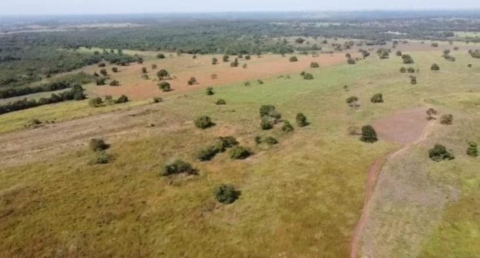 Fazenda em jangada 6