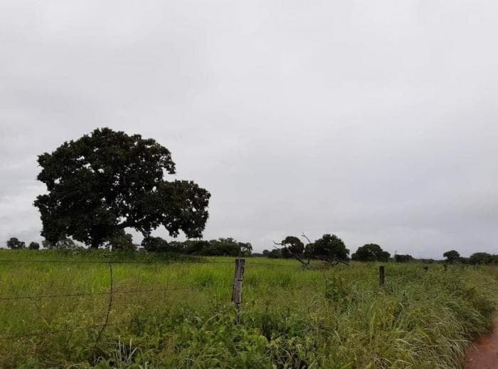 Fazenda em jangada 8