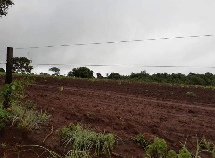 Fazenda em jangada — Jangada, MT