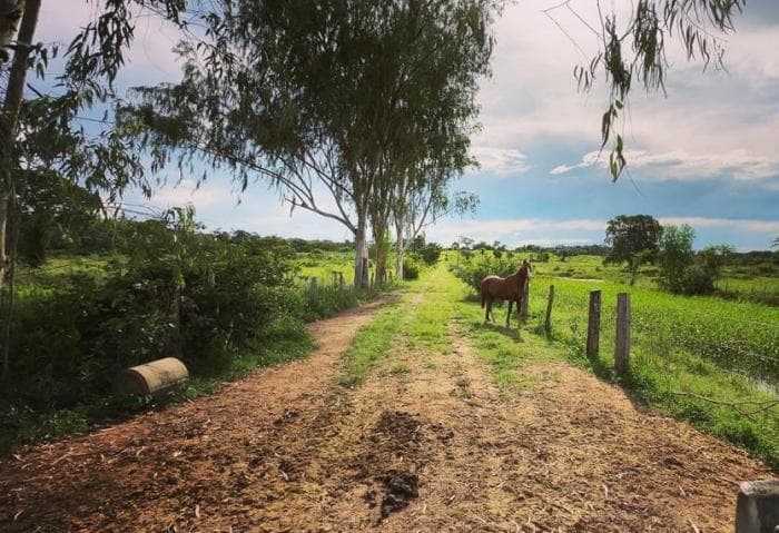 Fazenda em Cuiabá 9