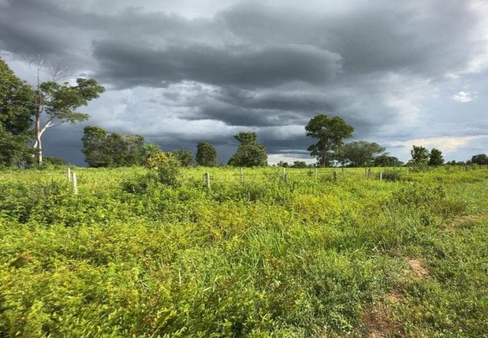Fazenda em Cuiabá 6