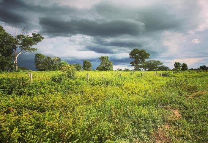 Fazenda em Cuiabá — Cuiabá, MT