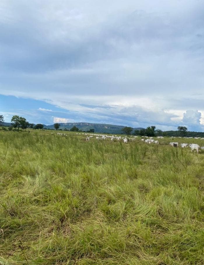 Fazenda em Cuiabá 9