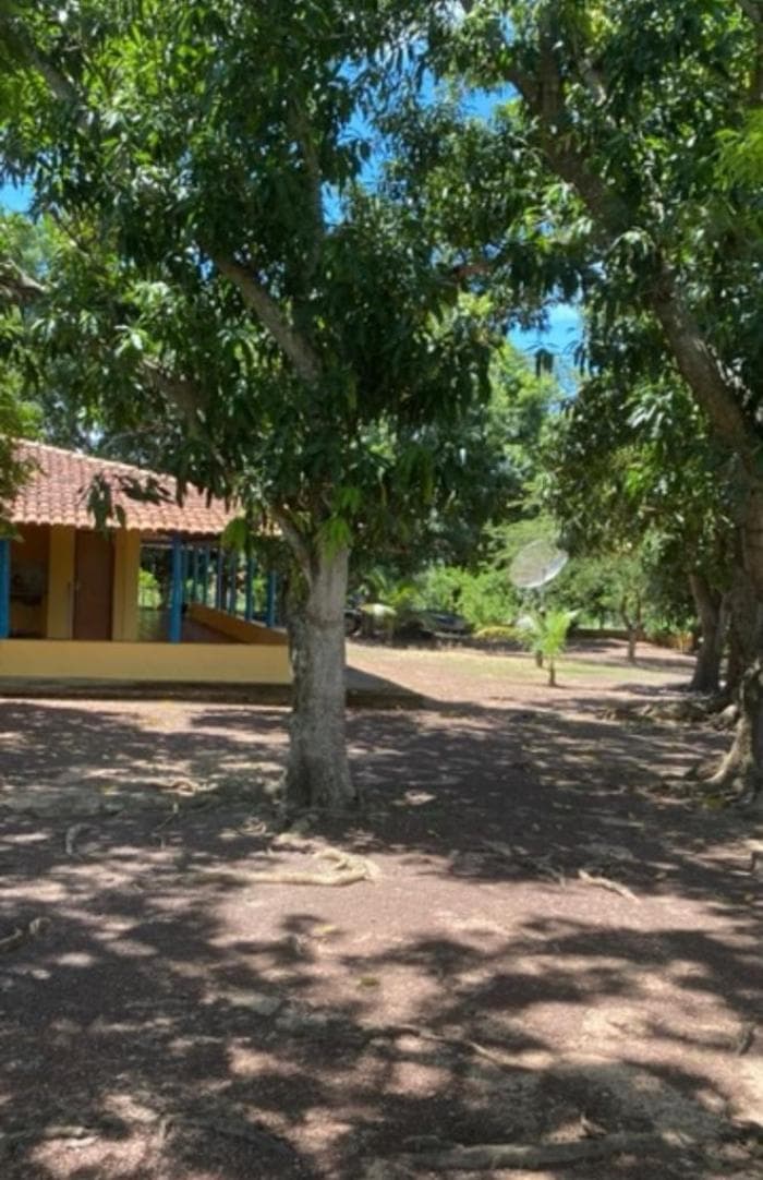 Fazenda em Cuiabá 17