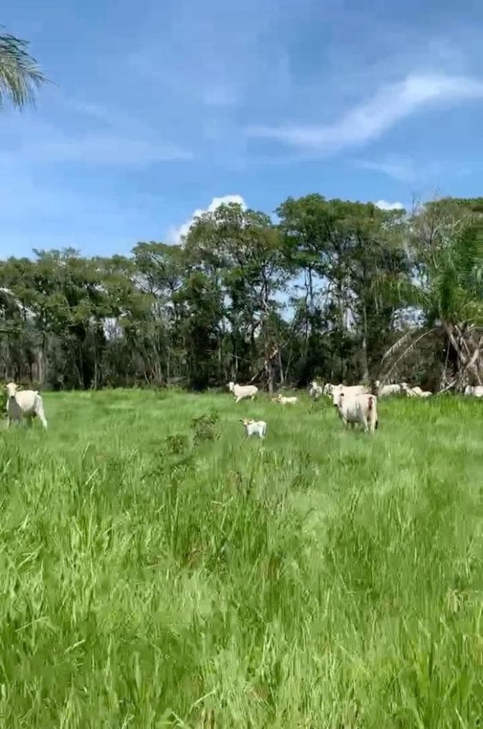 Fazenda em Cuiabá 21